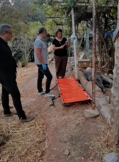 İzmir Büyükşehir Belediyesi ekipleri, ateşli silahla yaralandığı belirlenen bir domuzu,