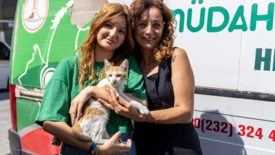 Karşıyaka'da bir aracın çarptığı sokak kedisi, belediye ekiplerinin hızlı müdahalesiyle