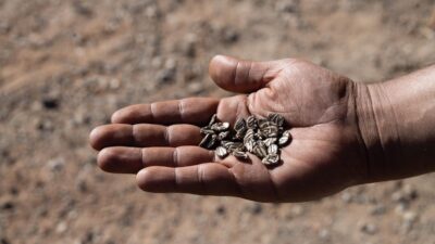 İzmir Büyükşehir Belediyesi’nin "Parkta Etkinlik Var" projesi kapsamında İnciraltı Terapi