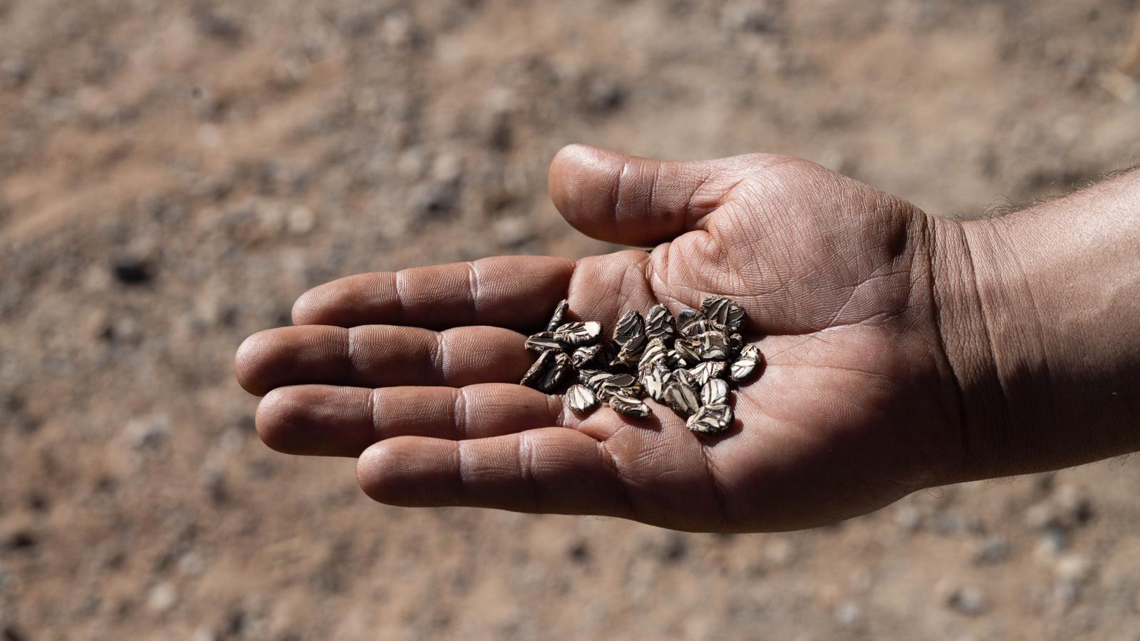 İzmir Büyükşehir Belediyesi’nin "Parkta Etkinlik Var" projesi kapsamında İnciraltı Terapi