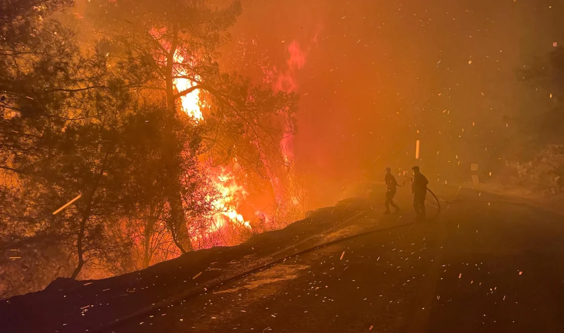 Muğla'nın Köyceğiz ve Milas ilçelerinde gece yarısı başlayan orman yangınları,