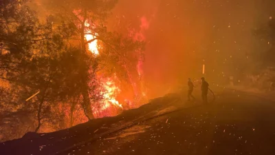 Muğla'nın Köyceğiz ve Milas ilçelerinde gece yarısı başlayan orman yangınları,