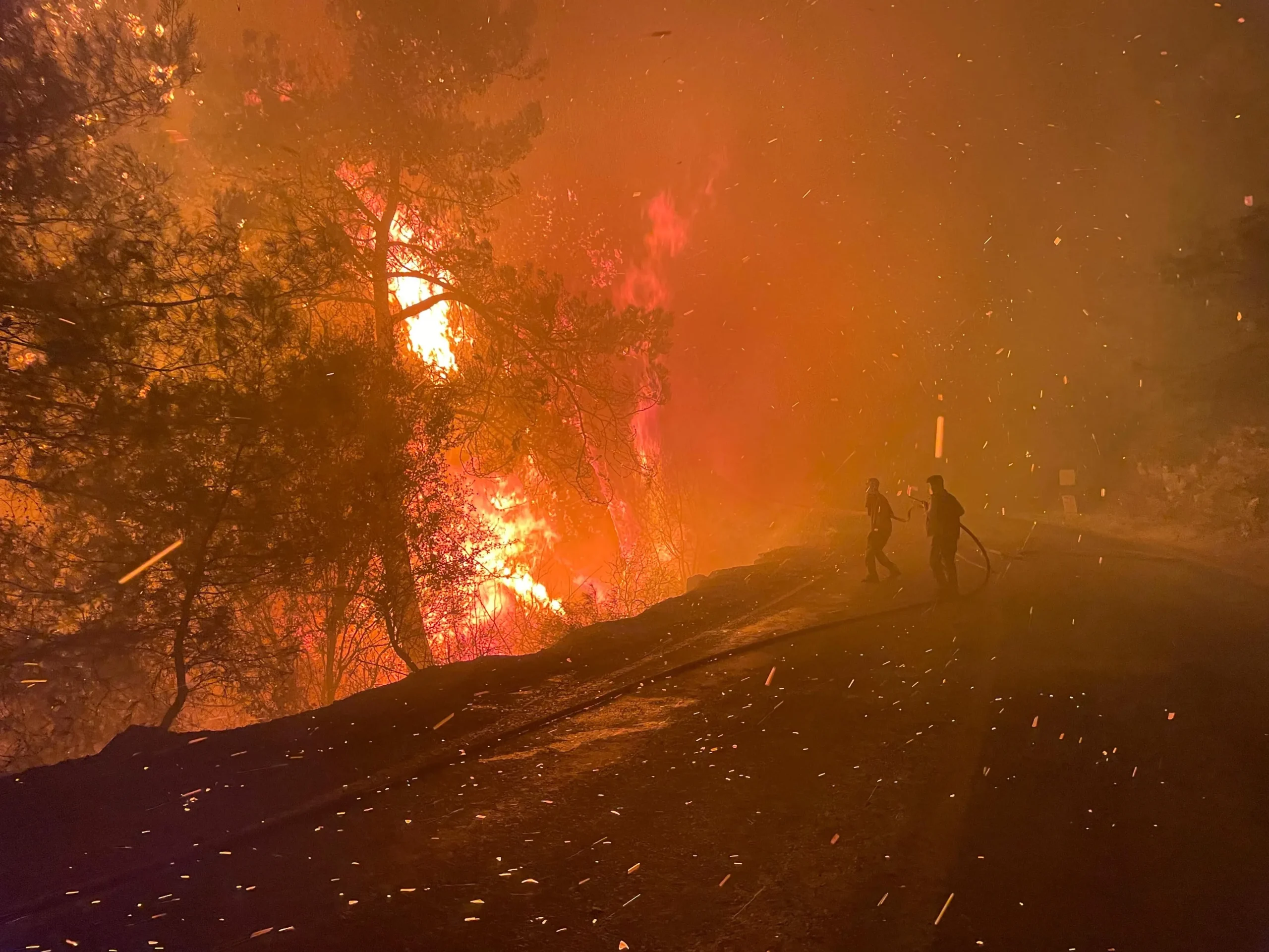 Muğla'nın Köyceğiz ve Milas ilçelerinde gece yarısı başlayan orman yangınları,