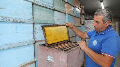 Muğla Büyükşehir Belediyesi, Türkiye'de bir ilk olan "Temiz Petek" projesini