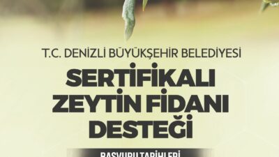 Denizli Büyükşehir Belediyesi, 12 ilçede çiftçilere 100.000 adet yüksek verimli