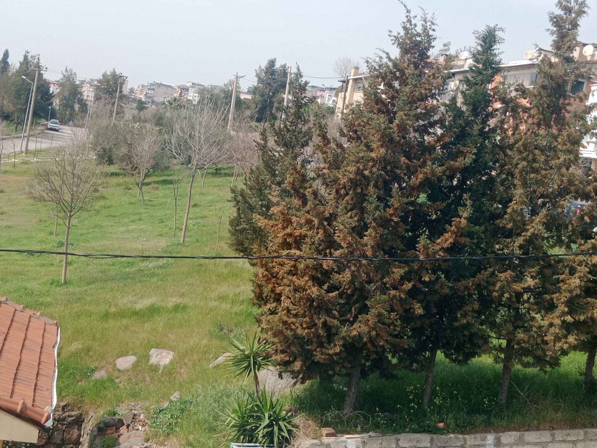 Çiğli İmar planı skandalı