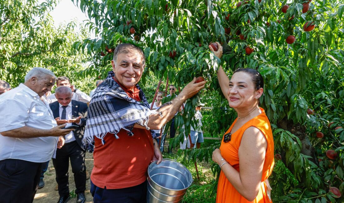Selçuk Şen Şeftali Şenliği yeniden düzenlendi. Başkan Cemil Tugay'ın üreticiye